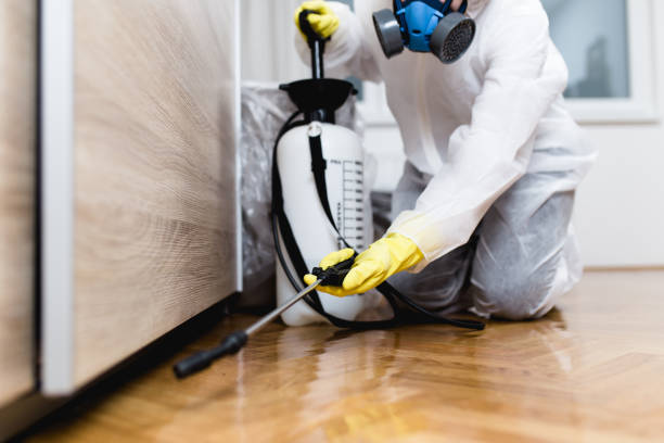Best Best Pest Control Companies  in Brunswick, OH