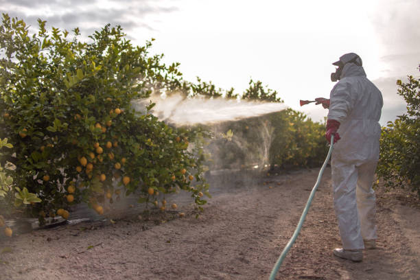 Best Bed Bug Extermination  in Brunswick, OH