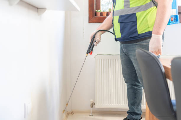 Best Rat Extermination Near Me  in Brunswick, OH