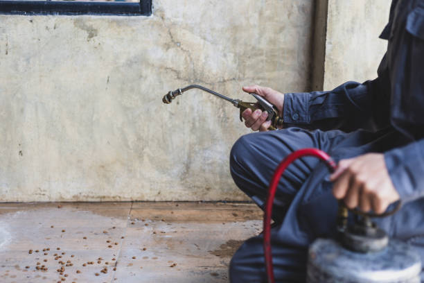 Best Pest Removal Services  in Brunswick, OH